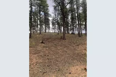 110 Wallace Drive, Florissant, CO 80816 - Photo 42