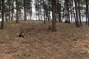 110 Wallace Dr, Florissant, CO 80816 - Photo 42