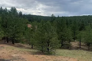 110 Wallace Dr, Florissant, CO 80816 - Photo 36