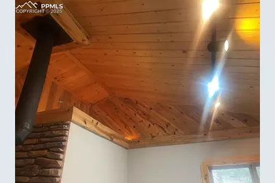 110 Wallace Drive, Florissant, CO 80816 - Photo 26