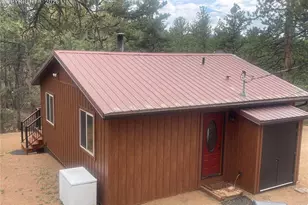 110 Wallace Dr, Florissant, CO 80816 - Photo 4