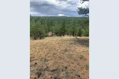 110 Wallace Drive, Florissant, CO 80816 - Photo 40