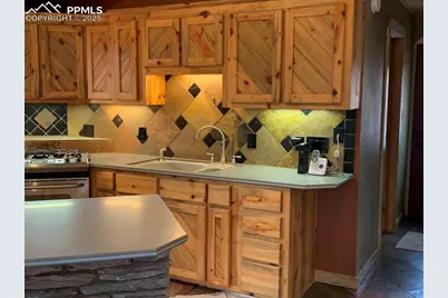 110 Wallace Drive, Florissant, CO 80816 - Photo 24