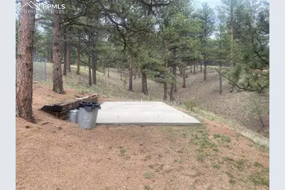 110 Wallace Drive, Florissant, CO 80816 - Photo 6