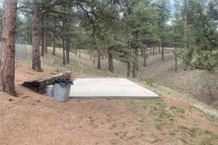 110 Wallace Dr, Florissant, CO 80816 - Photo 6