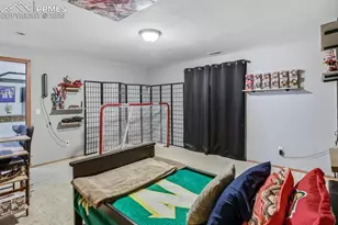 14020 Nichlas Ct, Colorado Springs, CO 80921 - Photo 32