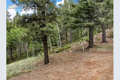 3043 County Road 1, Cripple Creek, CO 80813 - Photo 28