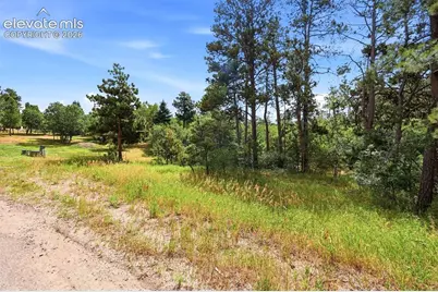 1455 Blueberry Hills Road, Monument, CO 80132 - Photo 8