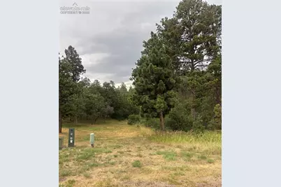 1455 Blueberry Hills Road, Monument, CO 80132 - Photo 1