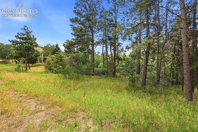 1455 Blueberry Hills Road, Monument, CO 80132 - Photo 10