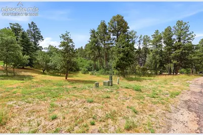 1455 Blueberry Hills Road, Monument, CO 80132 - Photo 4