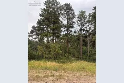 1455 Blueberry Hills Road, Monument, CO 80132 - Photo 2