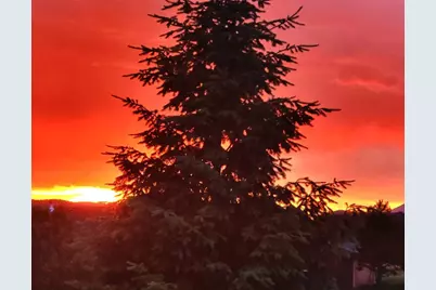 891 S Mountain Estates Road, Florissant, CO 80816 - Photo 26