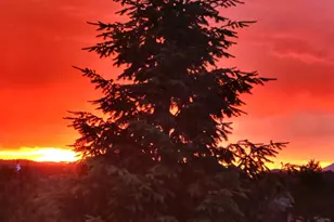 891 S Mountain Estates Rd, Florissant, CO 80816 - Photo 26