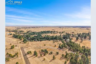 12095 Grandin Point, Elbert, CO 80106 - Photo 8