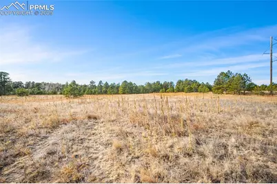 12095 Grandin Point, Elbert, CO 80106 - Photo 16