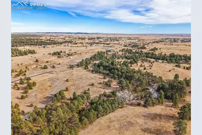 12095 Grandin Point, Elbert, CO 80106 - Photo 10