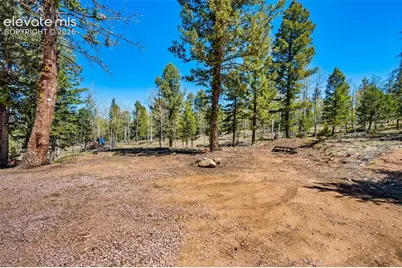 417 Beaver Creek Drive, Lake George, CO 80827 - Photo 32