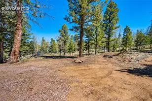 417 Beaver Creek Dr, Lake George, CO 80827 - Photo 32
