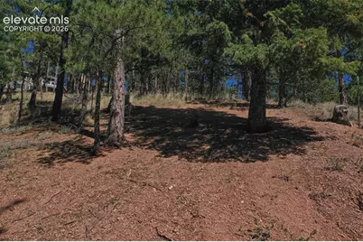 181 Valley Lane, Woodland Park, CO 80863 - Photo 32