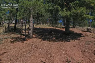 181 Valley Ln, Woodland Park, CO 80863 - Photo 32