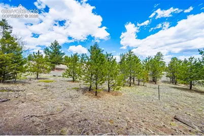 121 Bridle Lane, Florissant, CO 80816 - Photo 2