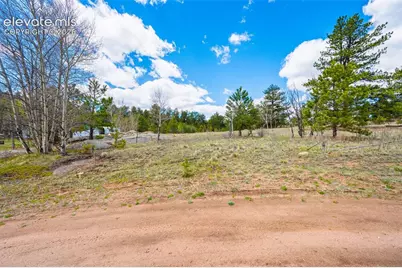 121 Bridle Lane, Florissant, CO 80816 - Photo 1