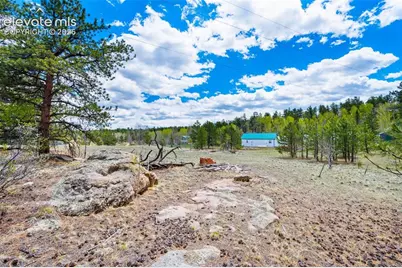121 Bridle Lane, Florissant, CO 80816 - Photo 28