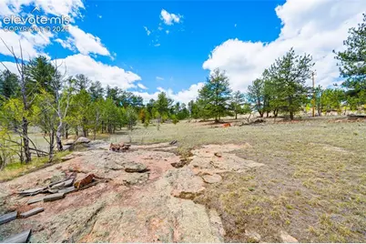 121 Bridle Lane, Florissant, CO 80816 - Photo 26