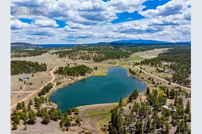 121 Bridle Lane, Florissant, CO 80816 - Photo 4