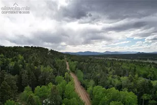 776 Jolly Rogue Dr, Divide, CO 80814 - Photo 26