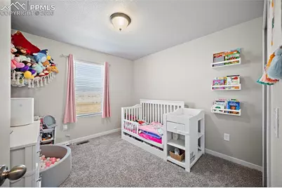 9844 Cronin Street, Fountain, CO 80817 - Photo 20