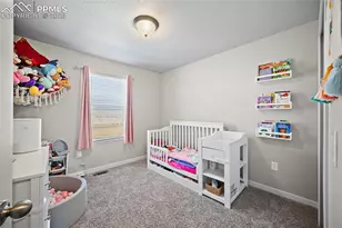 9844 Cronin St, Fountain, CO 80817 - Photo 20