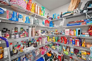 9844 Cronin St, Fountain, CO 80817 - Photo 18