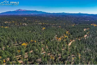 3447 Pathfinder Road, Florissant, CO 80816 - Photo 4
