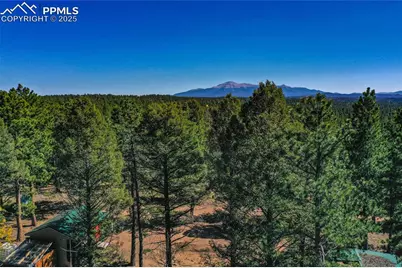 3447 Pathfinder Road, Florissant, CO 80816 - Photo 30