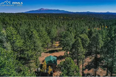 3447 Pathfinder Road, Florissant, CO 80816 - Photo 1