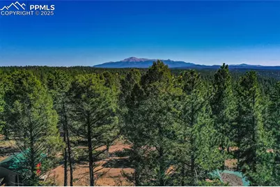 3447 Pathfinder Road, Florissant, CO 80816 - Photo 18