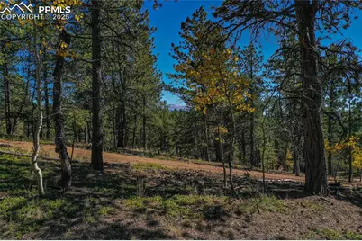 3447 Pathfinder Road, Florissant, CO 80816 - Photo 24