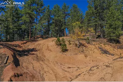 3447 Pathfinder Road, Florissant, CO 80816 - Photo 14