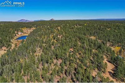 3447 Pathfinder Road, Florissant, CO 80816 - Photo 34