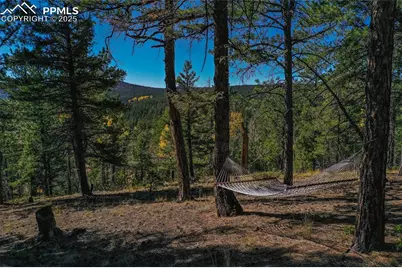 3447 Pathfinder Road, Florissant, CO 80816 - Photo 16