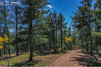 3447 Pathfinder Road, Florissant, CO 80816 - Photo 28