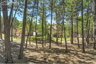 270 Lodgepole Way, Monument, CO 80132 - Photo 34