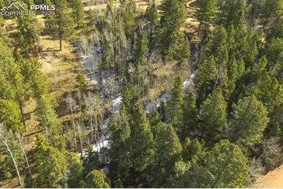 2763 N Mountain Estates Road, Florissant, CO 80816 - Photo 4