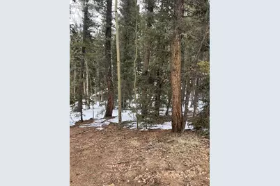 2763 N Mountain Estates Road, Florissant, CO 80816 - Photo 1