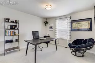 7248 Knapp Dr, Colorado Springs, CO 80924 - Photo 28