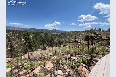 160 Chateau West Drive, Florissant, CO 80816 - Photo 24