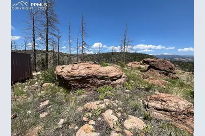 160 Chateau West Drive, Florissant, CO 80816 - Photo 20