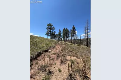 160 Chateau West Drive, Florissant, CO 80816 - Photo 18